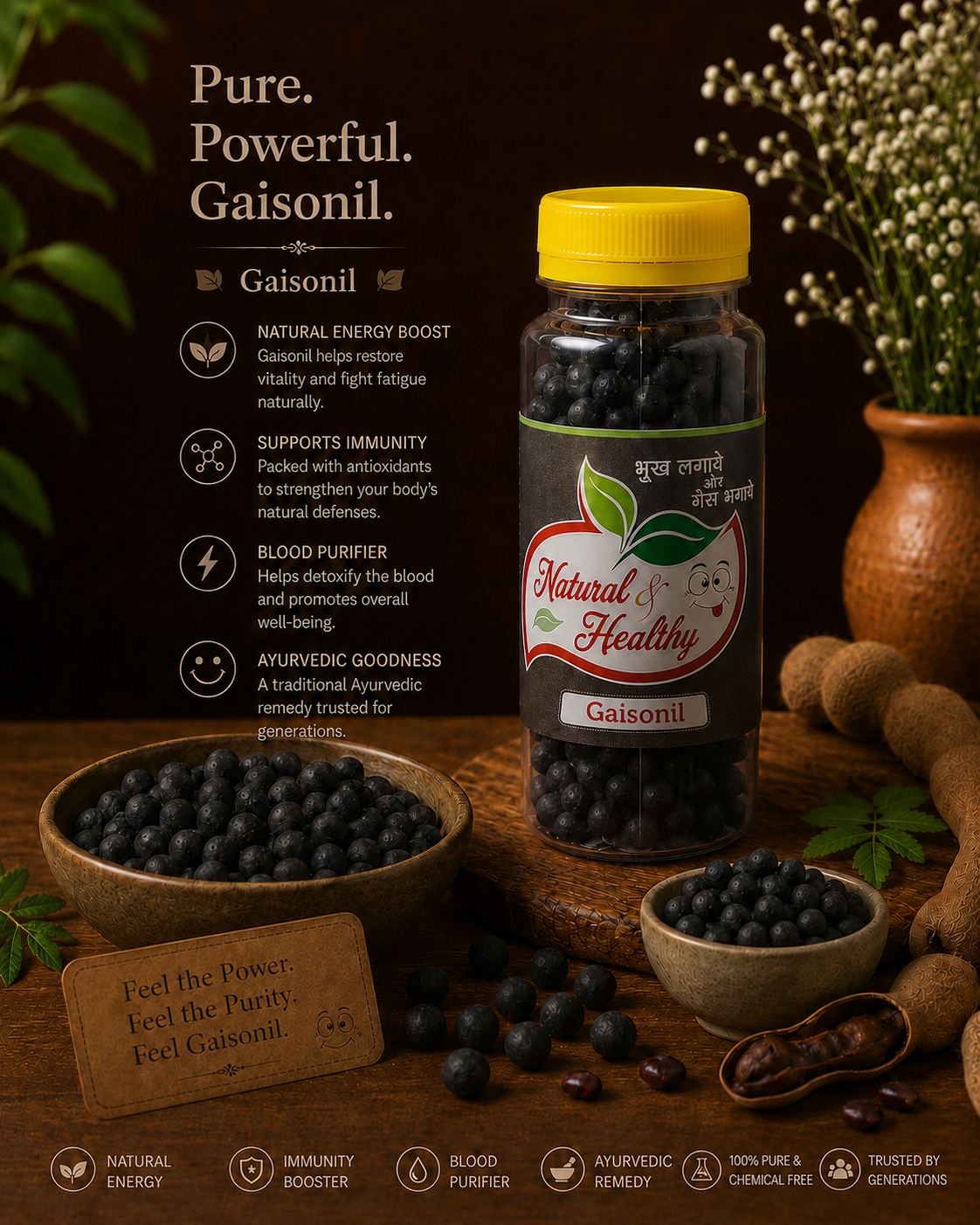 Gaisonil – Natural Ayurvedic Digestive Tablets | Herbal Digestive & Immunity Support | Traditional Wellness Formula
